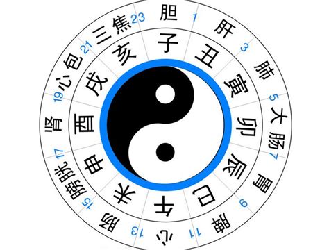 酉时出生的人|收藏：出生时辰看你的性格和命运大全